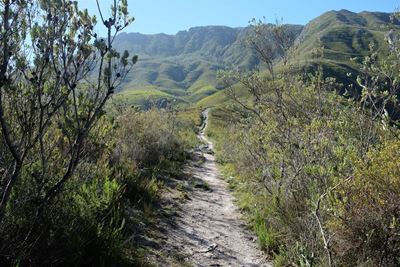 Burning candles left on George trail raise veld fire concerns