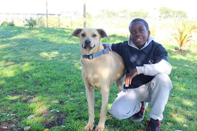 From Saturday volunteer to future SPCA inspector: Meet Henry (14)