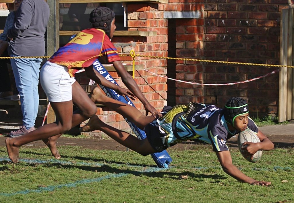 Laerskool Knysna se rugbybulle bo