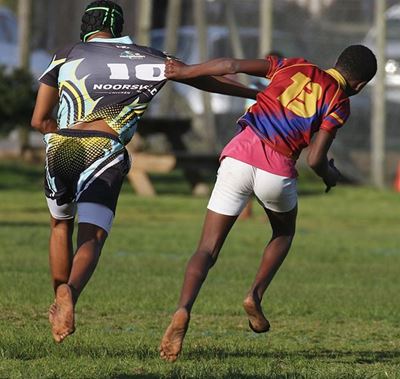 Laerskool Knysna se rugbybulle bo