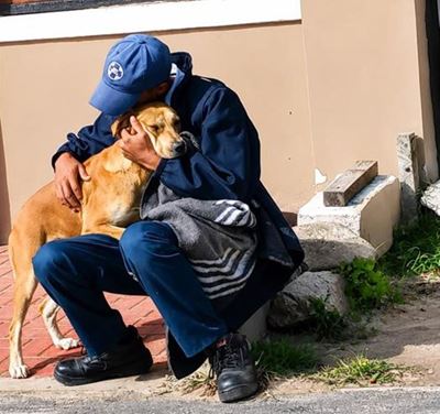Garden Route SPCA - George wins Best of George