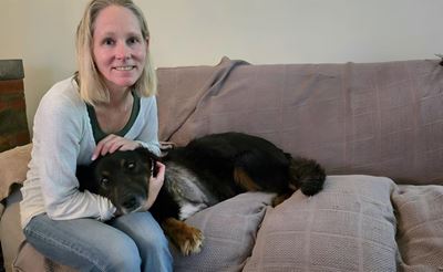 George three-legged rescue dog Gypsy gets helping paw from Dotsure