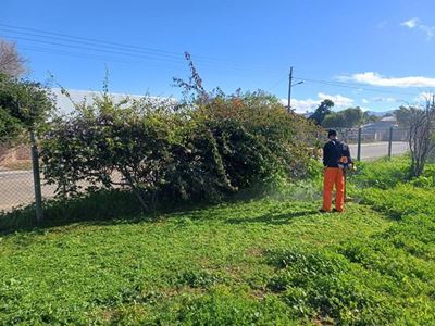 Knysna-buurtspan knap parke op