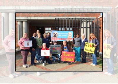 Mossel Bay bestiality case to be heard in regional court