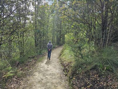 Arbor Week: Buy one tree, plant two for Alexander's Great Forest 