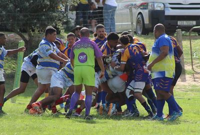 Seagulls speel gasheer vir Arrows-rugbyklub