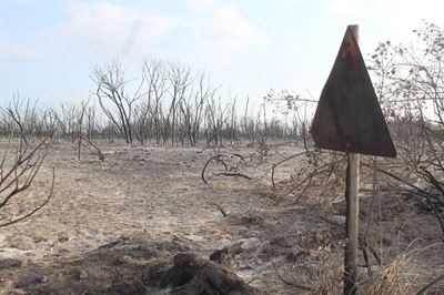 Melkhoutfontein veldbrand onder beheer