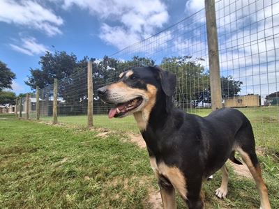 Layla needs a second chance and just one person to believe in her