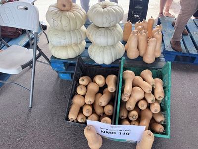 Eastern Cape farmers welcome agricultural show revival 