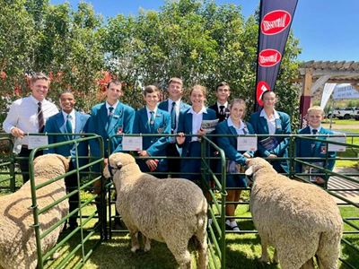 CHS learners gain insight at Jordaan Family merino ram auction