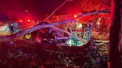 Bakkie rol op Hamelkop-pad: Insittendes uit wrak bevry