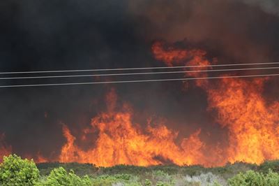 Veldbrand by Melkhoutfontein is onder beheer