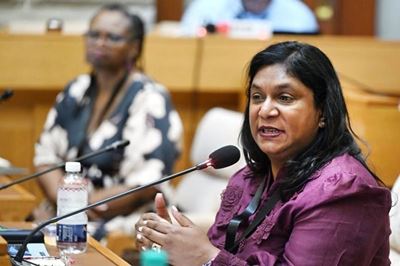 ‘What is true?’ The contradictions in Johnson’s testimony at ad hoc committee and Madlanga commission