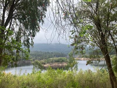 Garden Route Dam drops a further 1.58%
