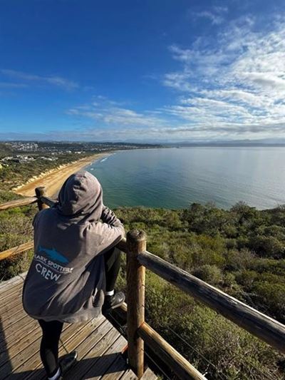 Plett's beaches temporarily without shark spotters, pending MoA
