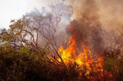 Garden Route District Municipality takes over prescribed burn permits