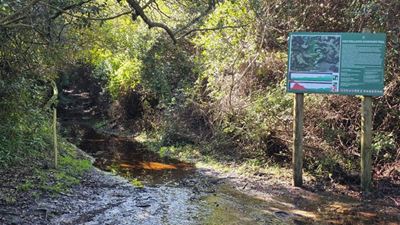 Popular Half-Collared Kingfisher Trail reopens after storm closure