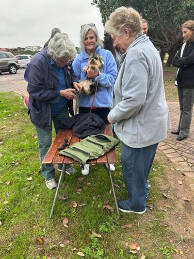 Troeteldiere bederf op Mandeladag