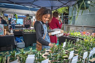 Calitzdorp Succulent Festival blooms with rare plants and unique experiences