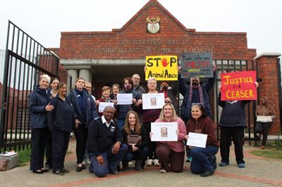 Support for Caesar as man accused of bestiality back in Mossel Bay court