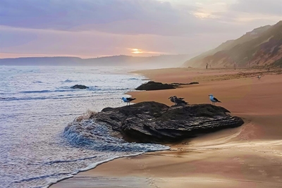 Wilderness Beach earns spot on global top 100 beaches list
