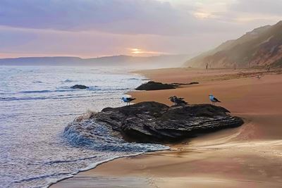 Wilderness Beach earns spot on global top 100 beaches list