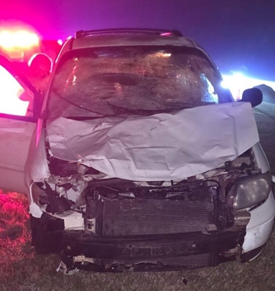 Knysna couple escape death after horse collision on N2 outside George