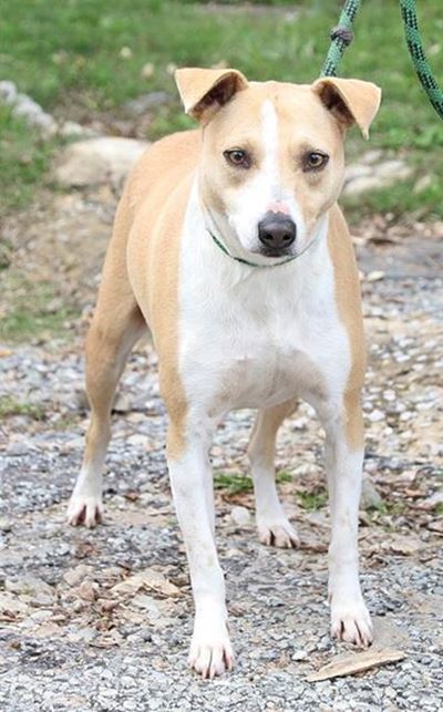 Looking for a forever home