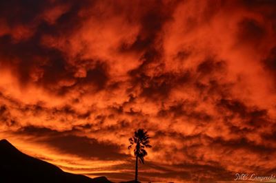 In an age of ignorance and conspiracy, skeptics are our saving grace, but what if...?