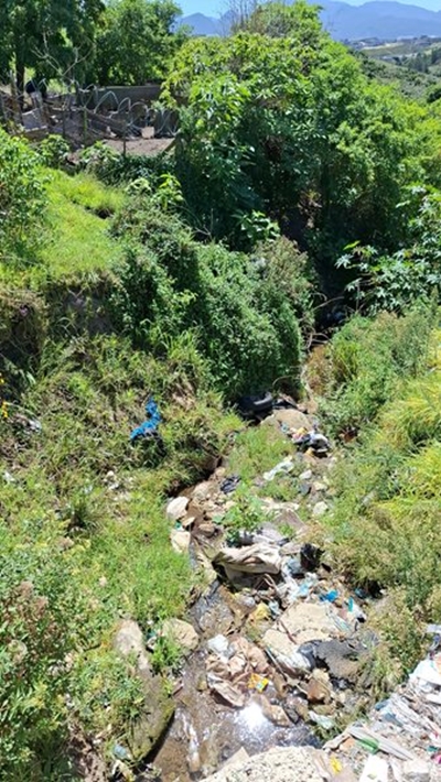 George’s rivers show mixed health in monitoring results