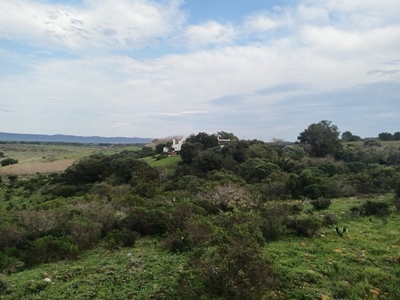 Mandeladag bied geleentheid om bedreigde Renosterveld te help bewaar