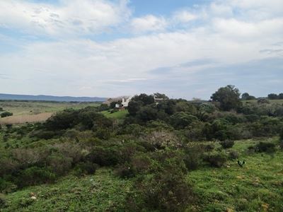 Mandeladag bied geleentheid om bedreigde Renosterveld te help bewaar