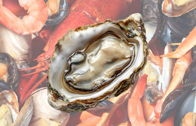 Public warned not to eat wild shellfish from Saldanha Bay