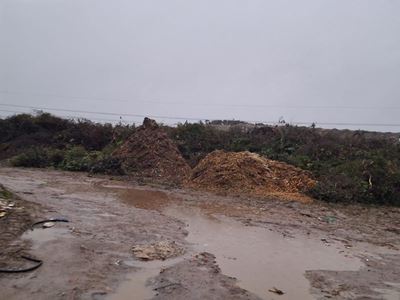Temporary closure of George landfill site