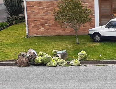 Temporary suspension of refuse and green bag collection