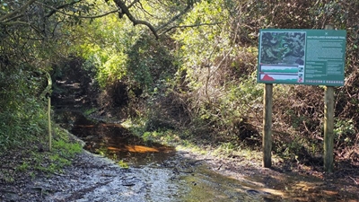 Half-Collared Kingfisher Trail temporarily closed after heavy rain
