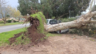 Storm damage funding sought from WC Cabinet, National Treasury 