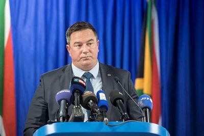 ‘Hill-Lewis handed my head to a baying mob of hyenas,’ Steenhuisen says