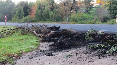 Knysna’s Brackenhill residents protest over electricity, service delivery
