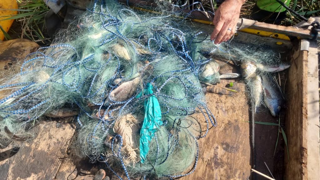 llegal gillnetting activities are on a steep rise in South Africa