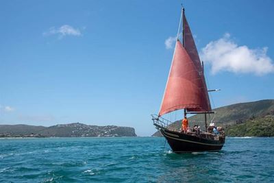 Best of Knysna & Plett: Knysna Pirate Ship 