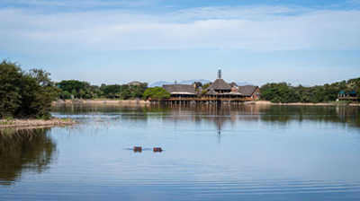 Best of Oudtshoorn & Klein Karoo: Buffelsdrift Game Lodge  