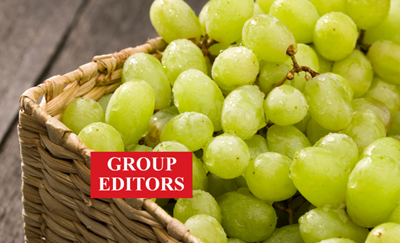 Table grape export agreement strengthens SA-Italy ties