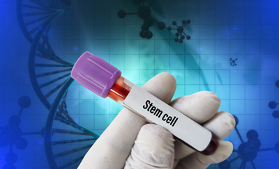 Youth are driving South Africa's stem cell registry growth