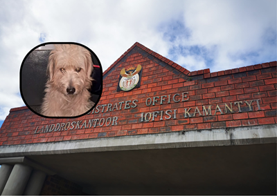 Mossel Bay bestiality case: Man released on warning