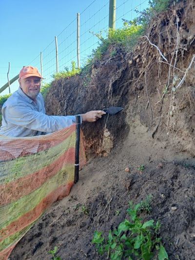Who were they? Hartland graves remain a mystery