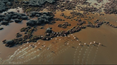 Cannes Award-nominated documentary Out of Mined, on impact of West Coast mining, premieres in Cape Town  