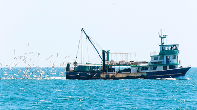 Officials intercept 4 Chinese-flagged fishing vessels after unlawfully entering SA waters