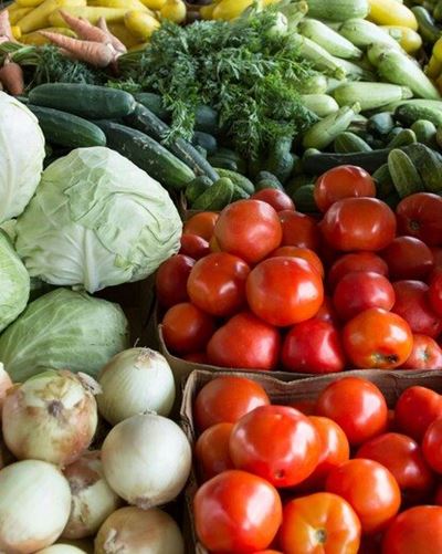 Agroecology awareness day draws strong turnout in Eastern Cape