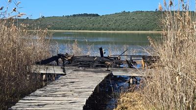 Questions as bird hide burns down, shelters pop up
